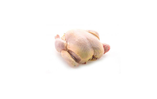 pollo de corral cocorokeen