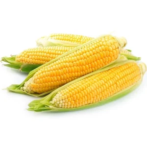 choclo organico x unidad