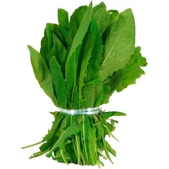 Radicheta organica x atado