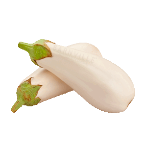 berenjena blanca organica x kilo