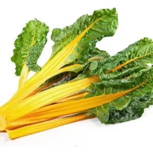 acelga amarilla agroecologica x atado