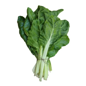 acelga verde agroecologica x atado