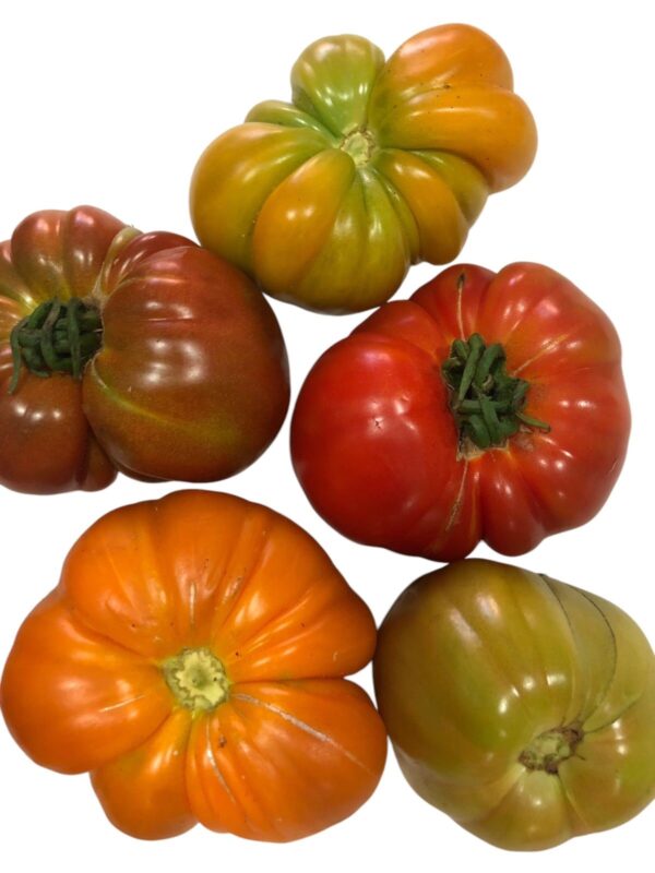 tomate reliquia organico x kg (Santa Rosa)