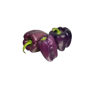 morron blocky violeta x 250 grs (Santa Rosa)