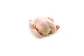 pollo pastoril fresco Cocorokeen x 2100//2300 kgs