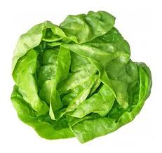 lechuga gallega organica x atado