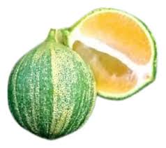 limon veteado organico x 1//2 kilo