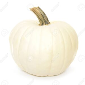 zapallo blanco japones organico x unidad